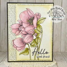 Load image into Gallery viewer, Hello Winter Rose