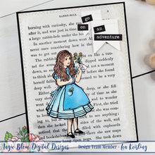 Load image into Gallery viewer, Magic of Wonderland