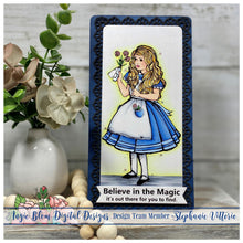 Load image into Gallery viewer, Magic of Wonderland