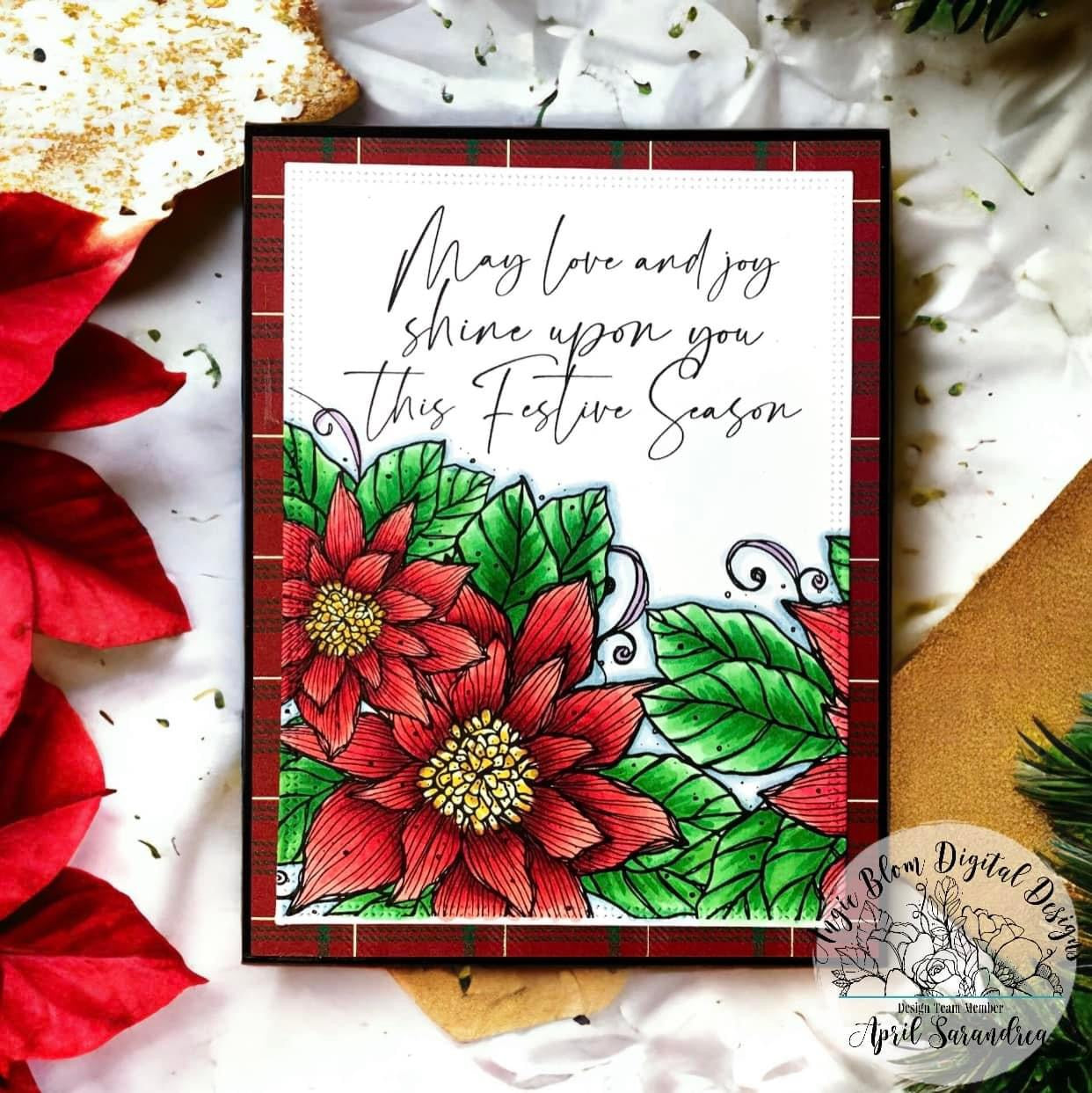 Festive Season Poinsettia