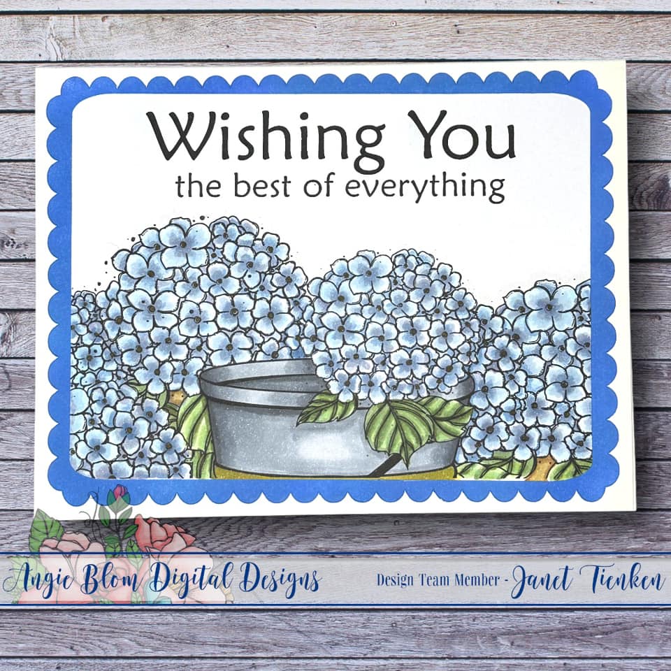 Wishing You Hydrangea's