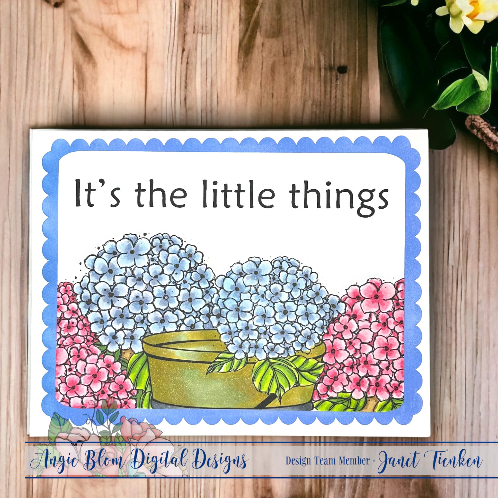 Wishing You Hydrangea's