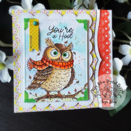 Hooting Owl