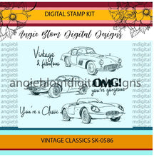 Load image into Gallery viewer, Vintage Classics