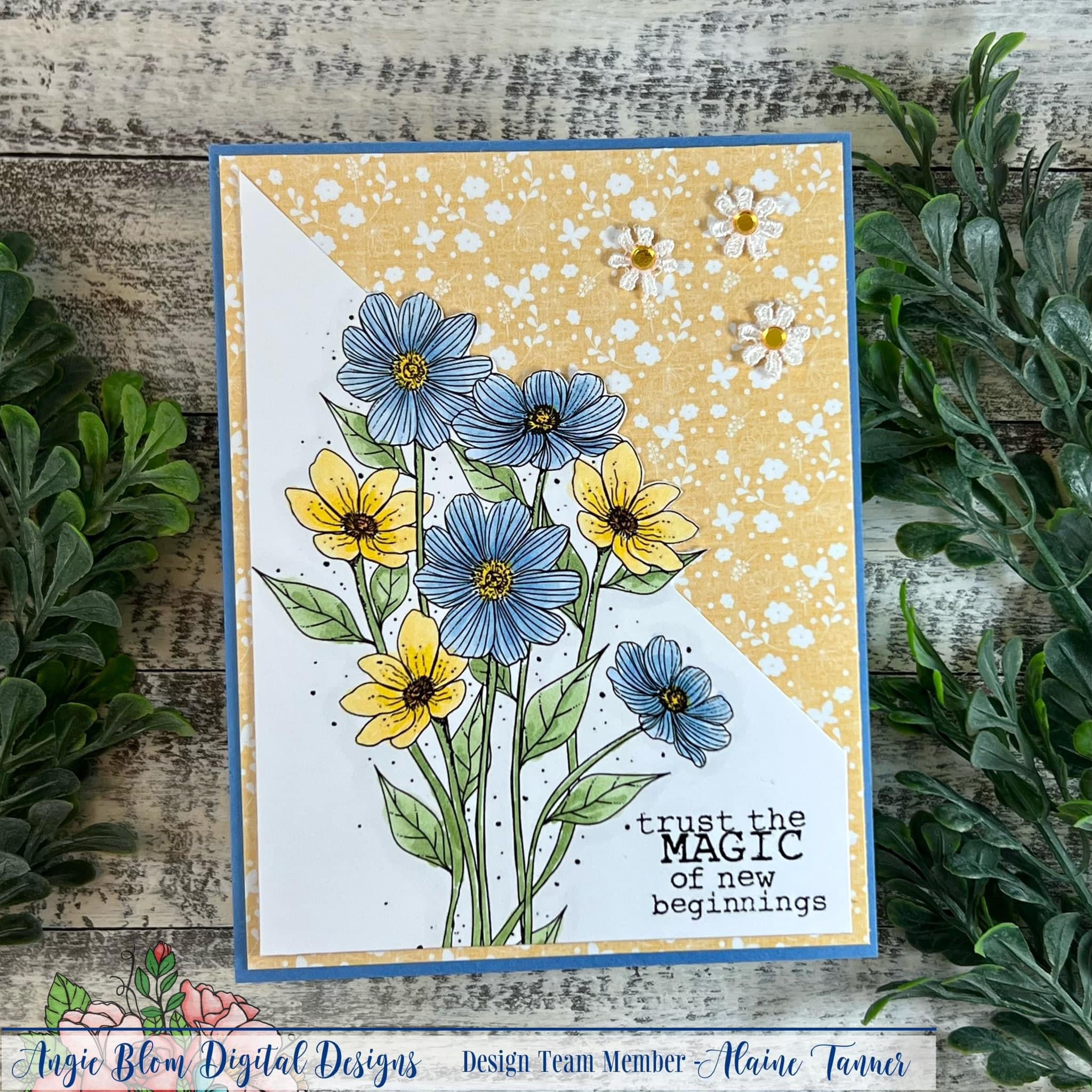 Magical New Beginnings