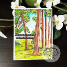 Load image into Gallery viewer, Forest View Background