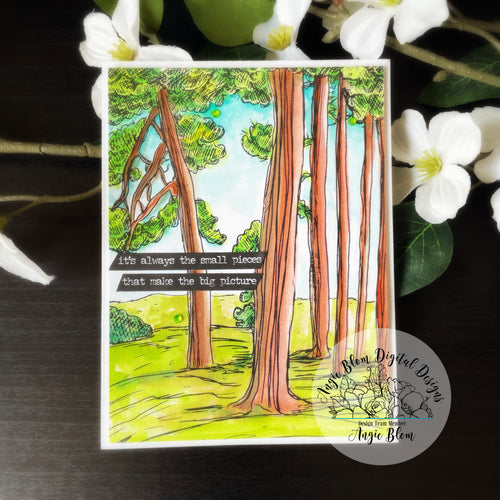 Forest View Background