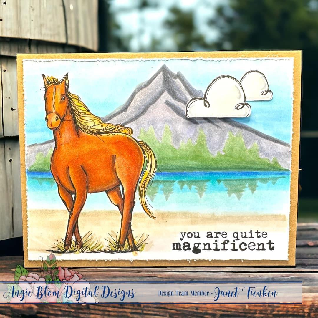 Man and His Horse