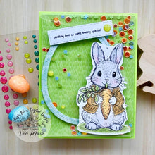 Load image into Gallery viewer, Sweetest Bunny Wishes
