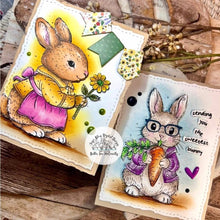 Load image into Gallery viewer, Sweetest Bunny Wishes