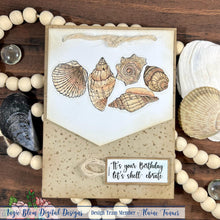 Load image into Gallery viewer, Sea Shells