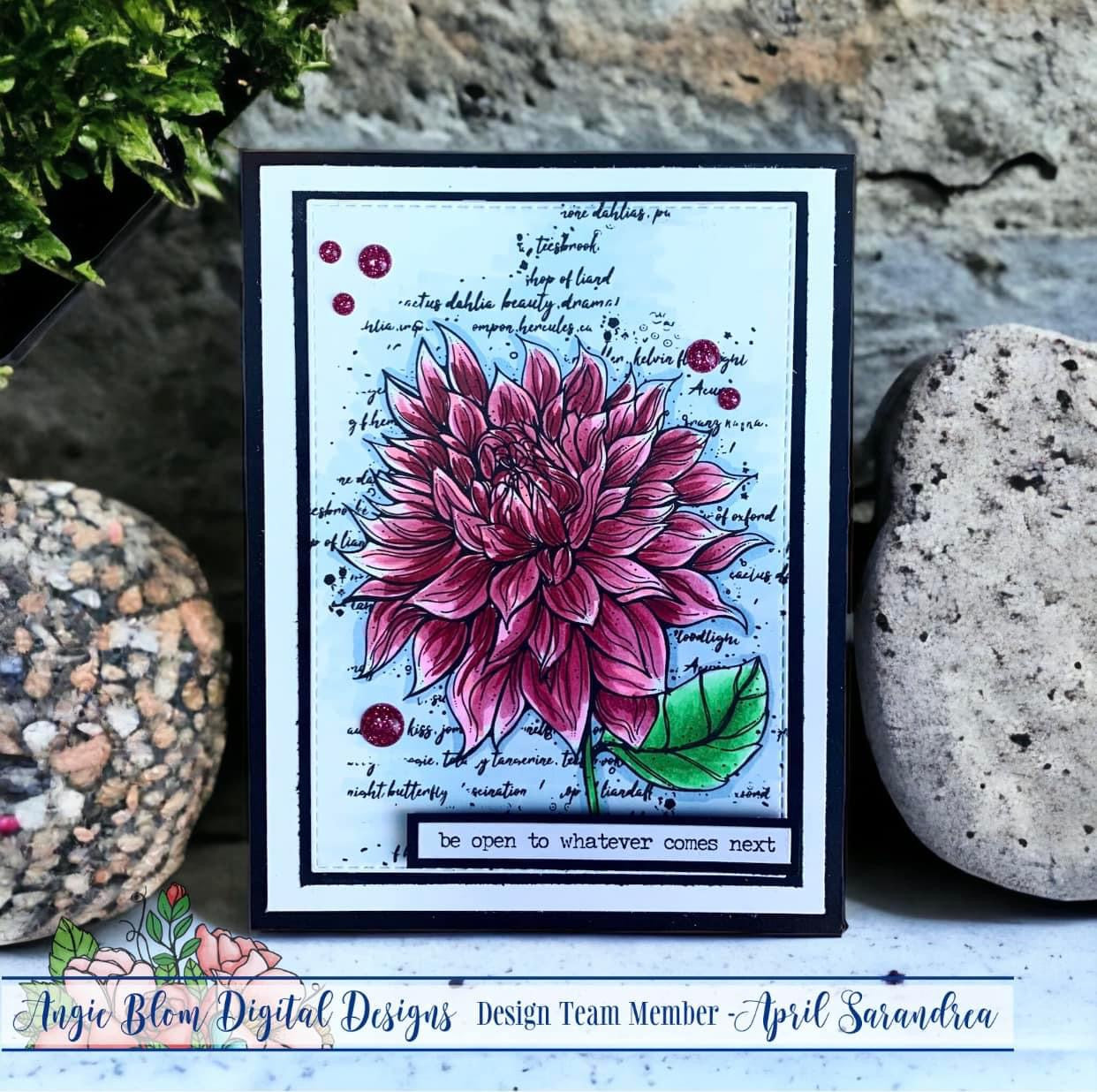Dahlia Delight