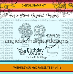 Wishing You Hydrangea's