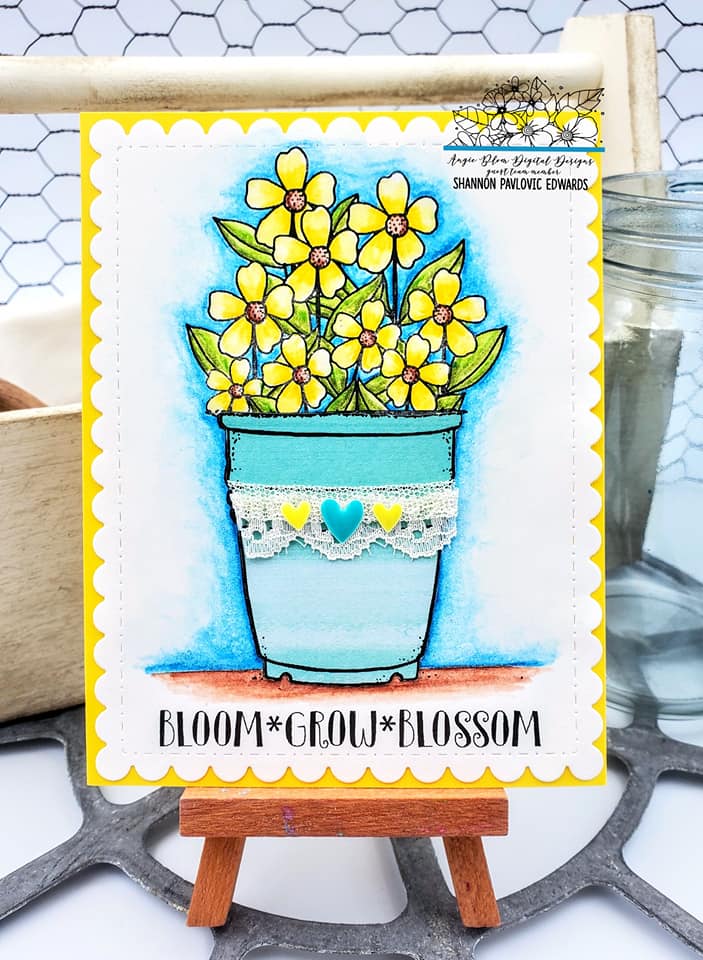 Bloom Grow Blossom