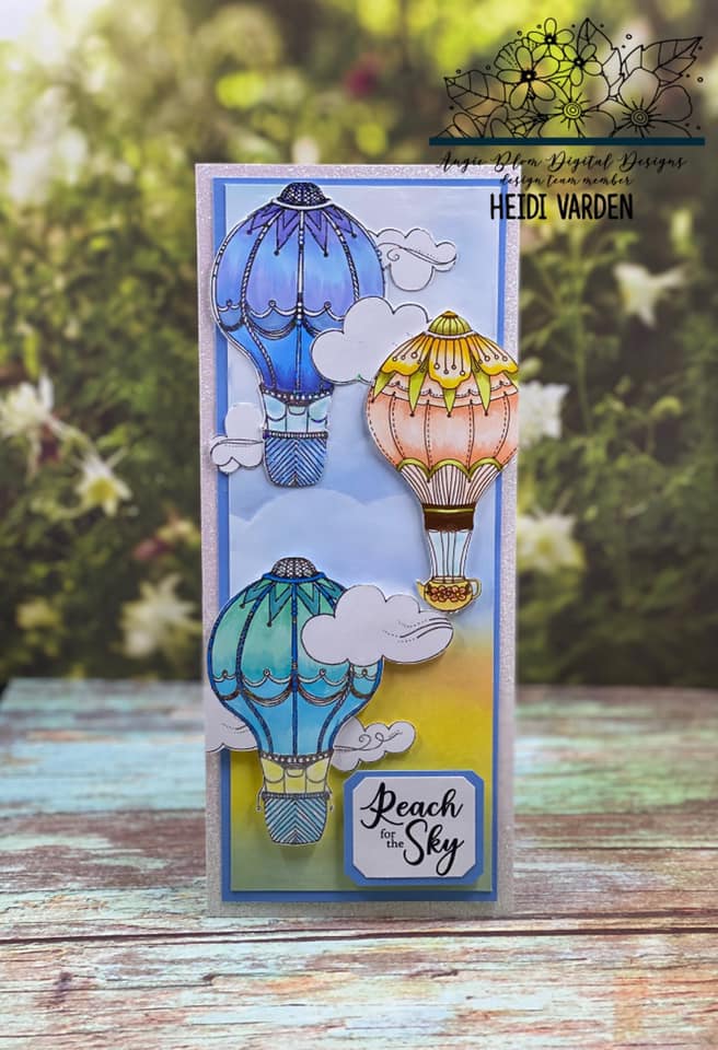 We Rise Hot Air Balloons