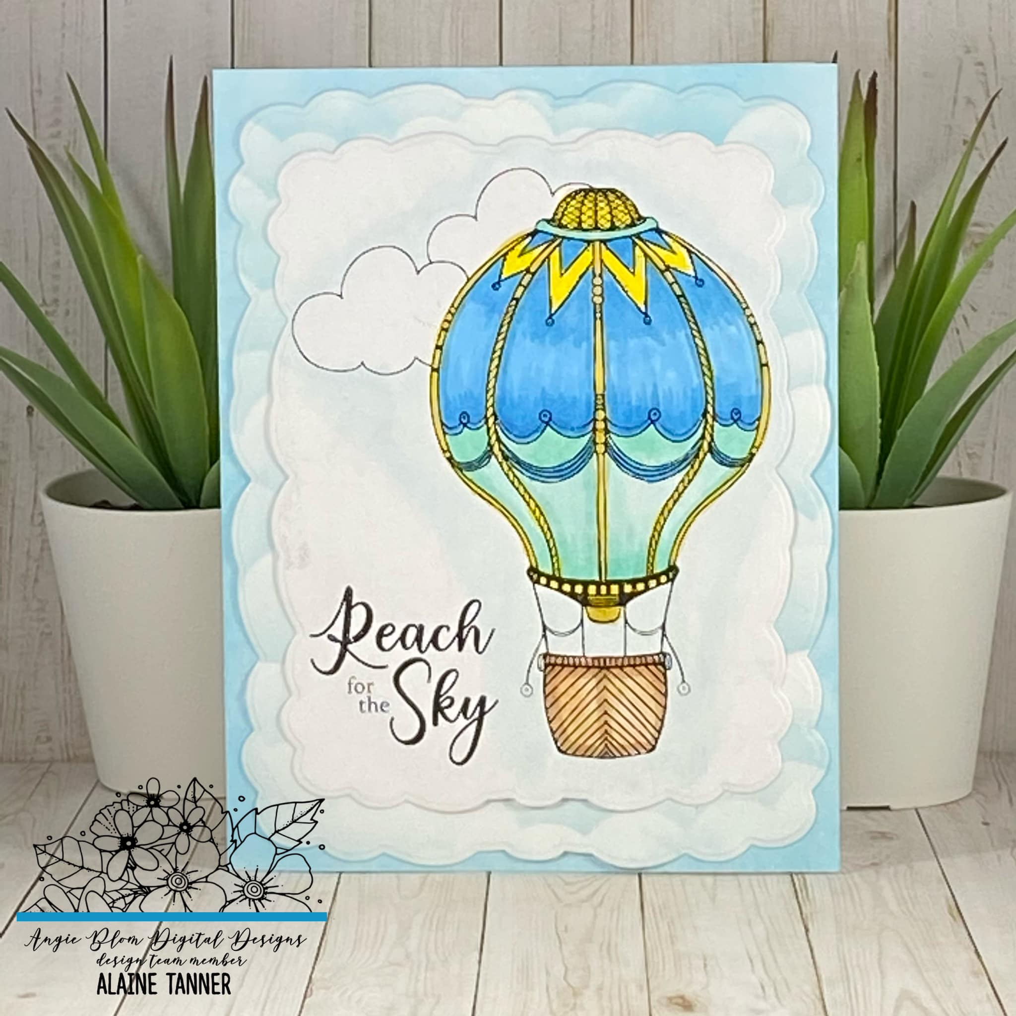 We Rise Hot Air Balloons