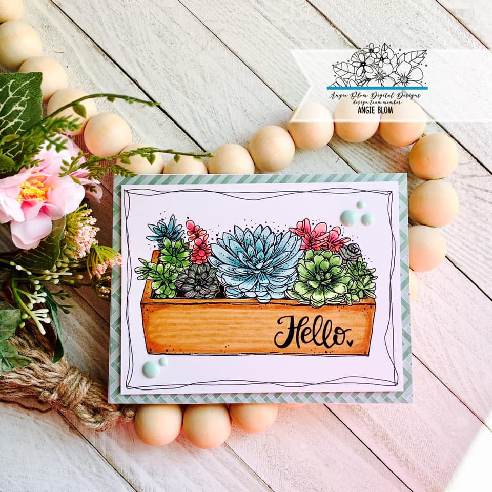 Hello Succulents