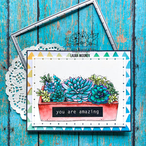 hello succulents Hello Succulents – Angie Blom Digital Designs