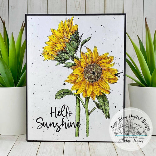 Stay Wild Sunflowers