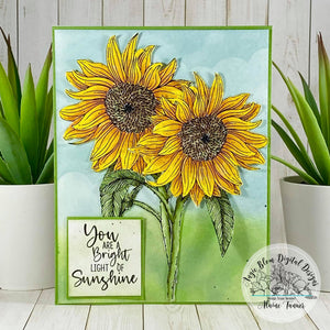 Stay Wild Sunflowers