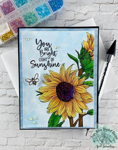 Stay Wild Sunflowers