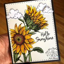 Load image into Gallery viewer, Stay Wild Sunflowers