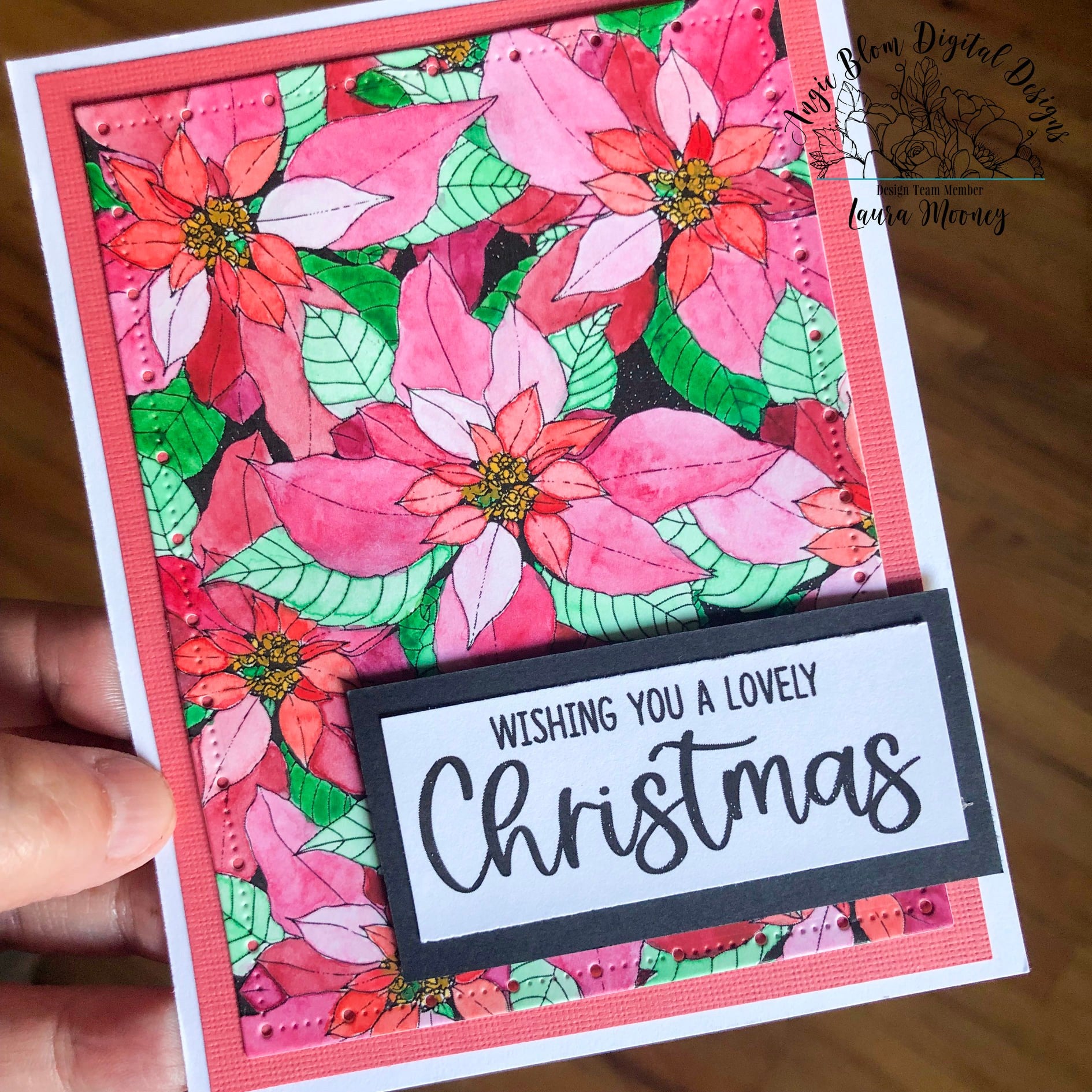 Poinsettia Background