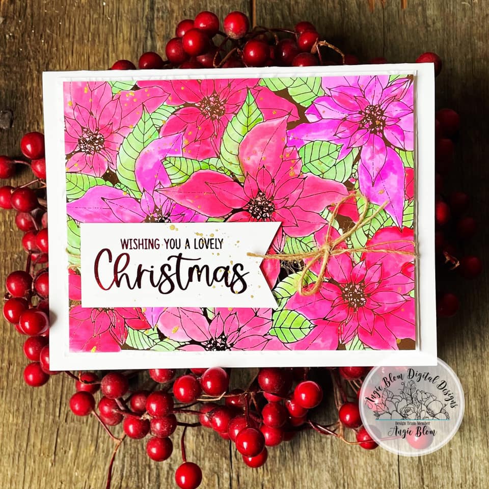 Poinsettia Background