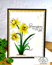 Load image into Gallery viewer, Daffodil Blessings