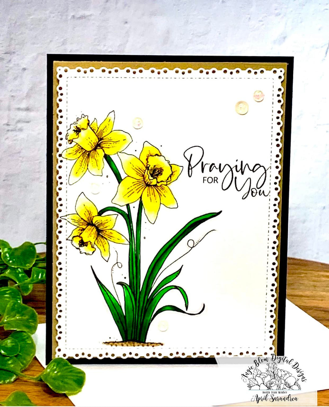Daffodil Blessings