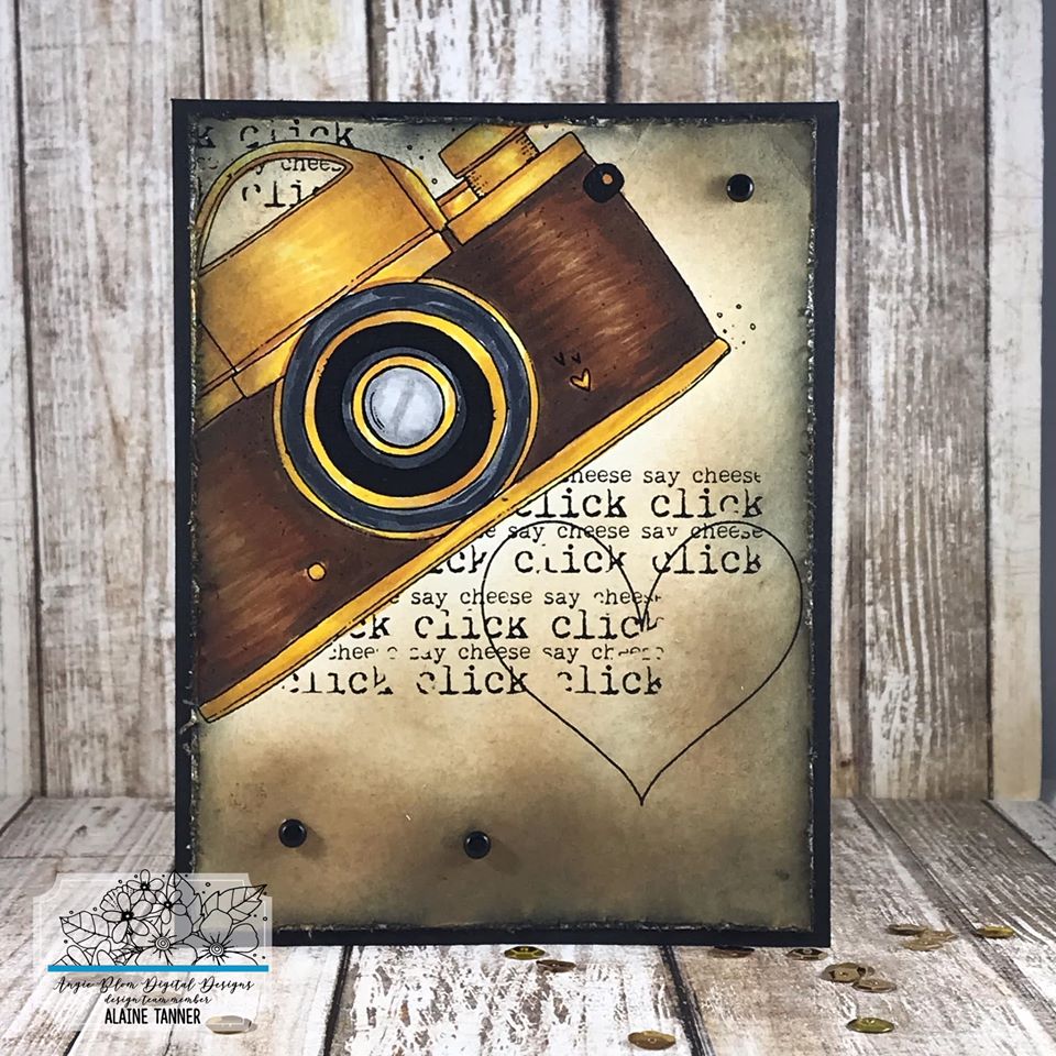 CAPTURED MY HEART (cameras)