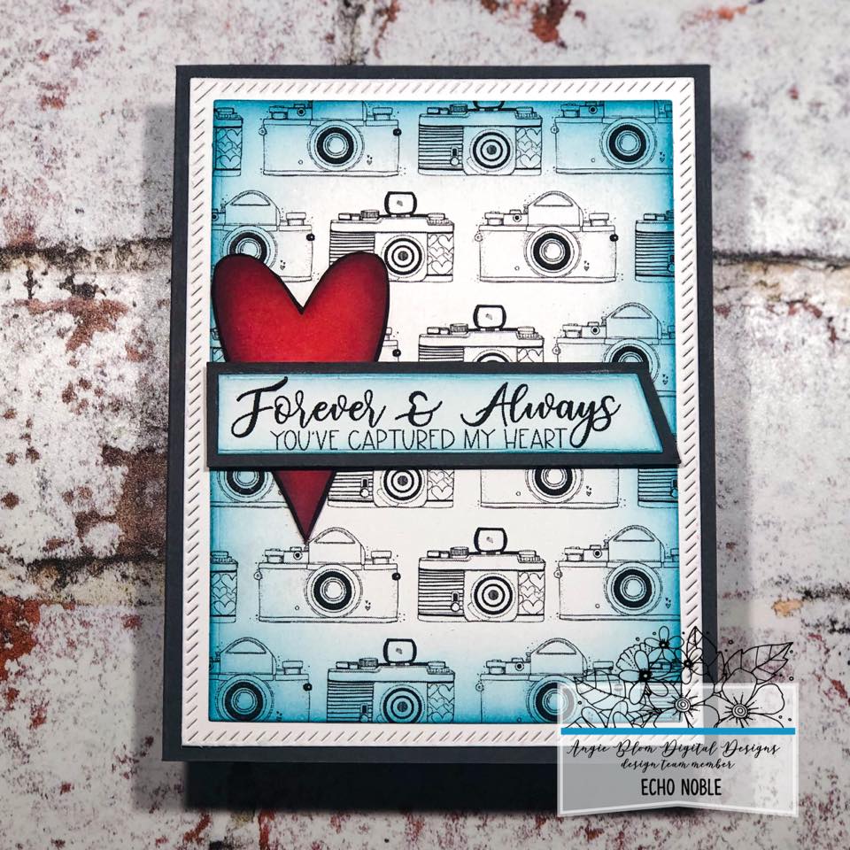 CAPTURED MY HEART (cameras)