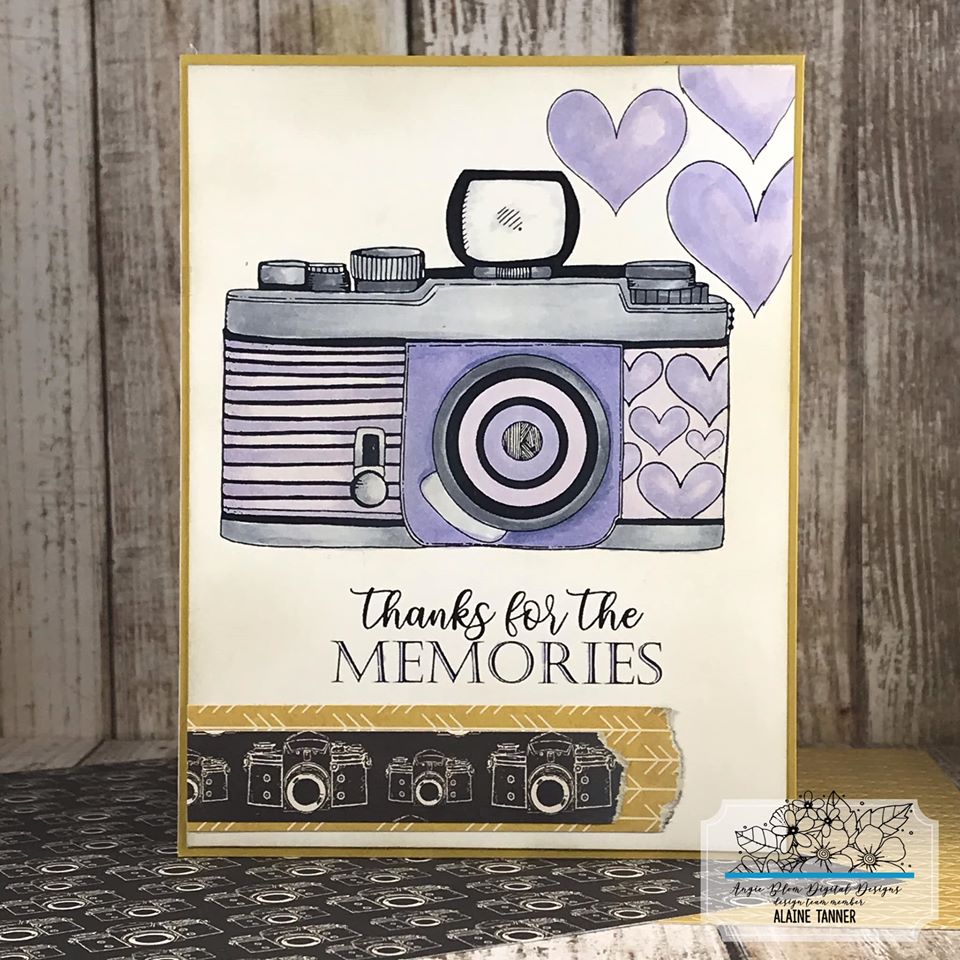 CAPTURED MY HEART (cameras)