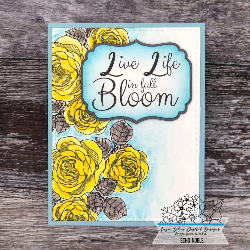 Blessings To You Roses