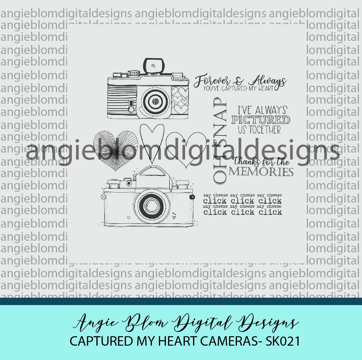 CAPTURED MY HEART (cameras)