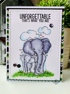 Unforgettable Elephants