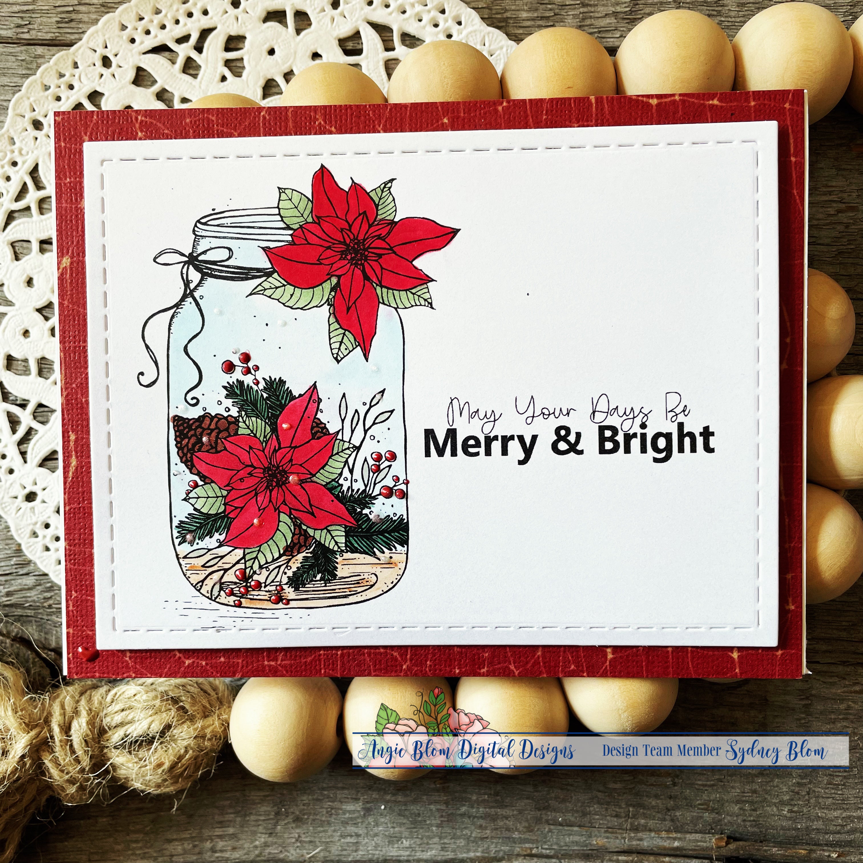 Blessings Poinsettia