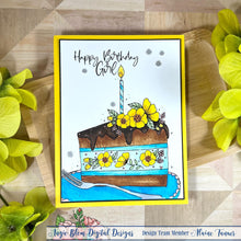 Load image into Gallery viewer, All That Is Happy Birthday Cake