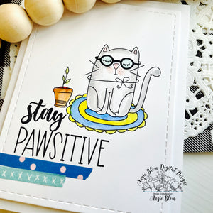 Pawsitive Kitties